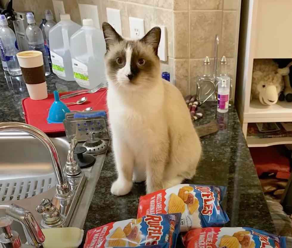 mountain-5 mountain-5