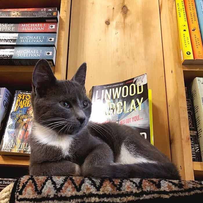 bookstore-4