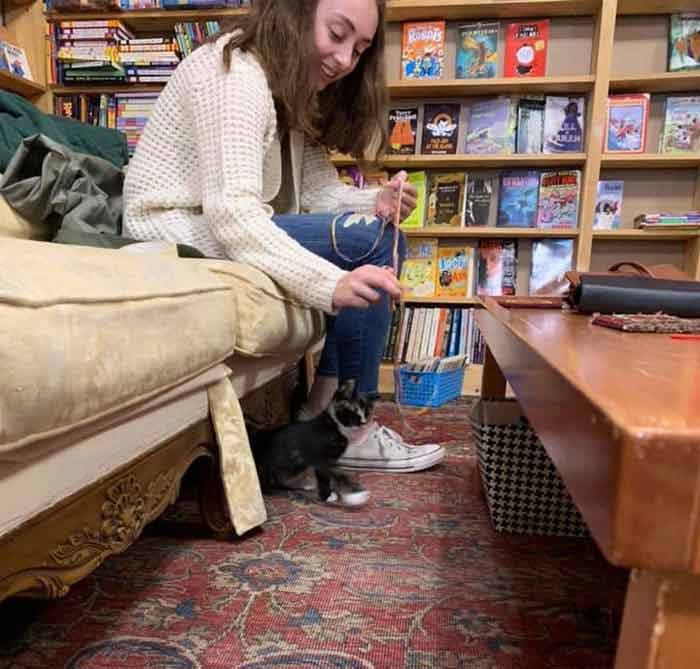 bookstore-7