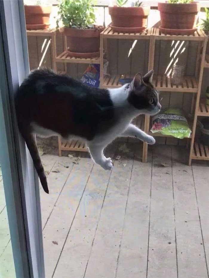 physics-11