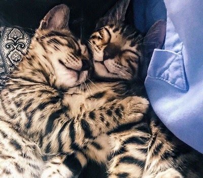 happy cuddle