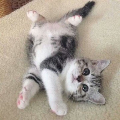 rub