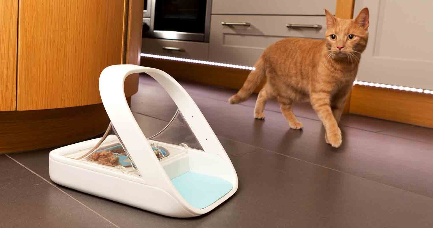 surefeed-microchip-pet-feeder-connect cat-using-automatic-cat-feeder