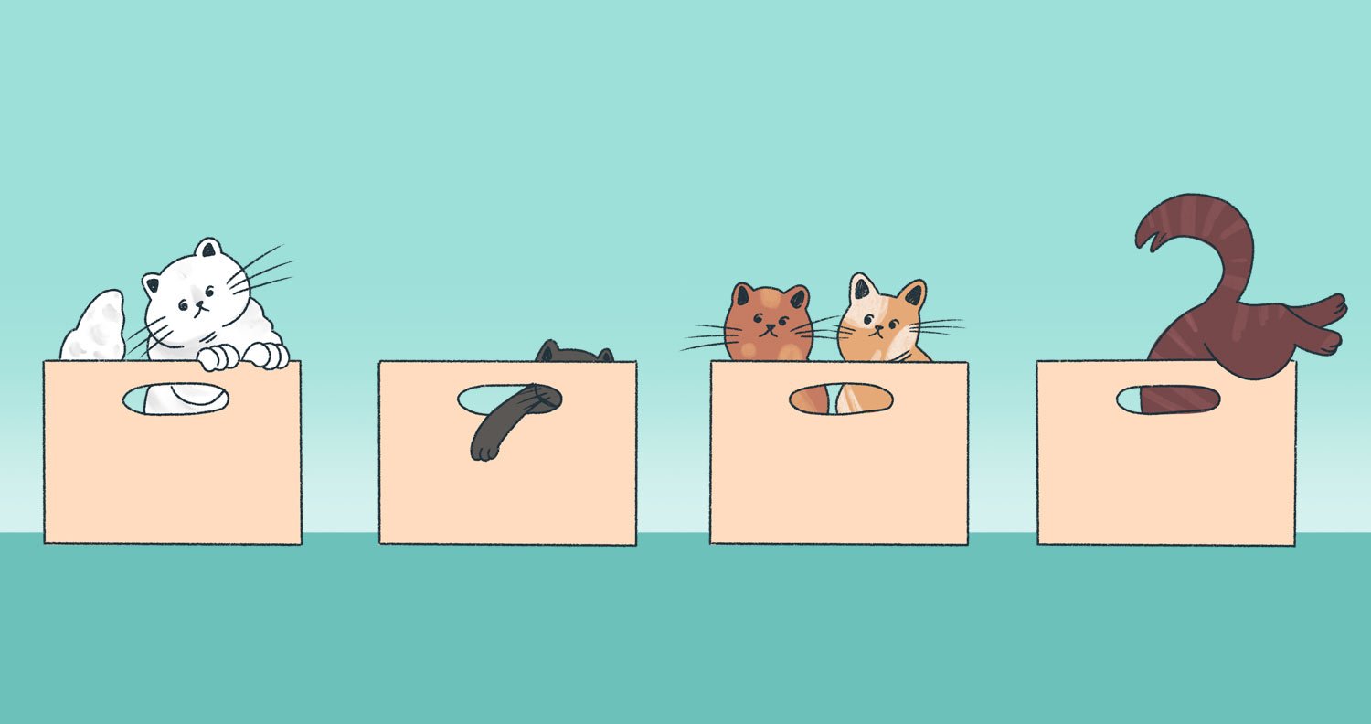Cats-in-boxes cats playing in boxes