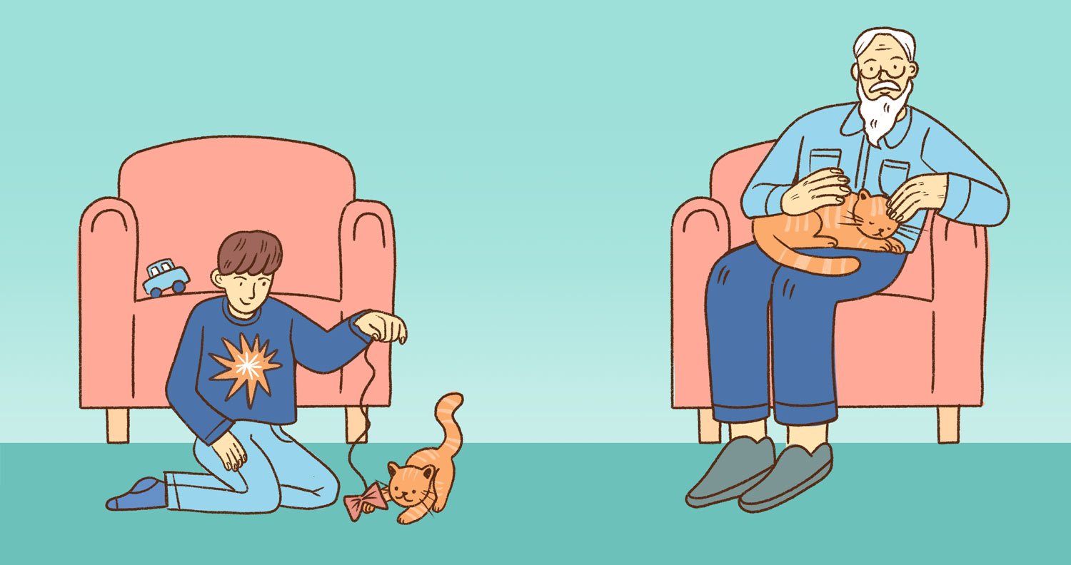 cat-for-life cat owner in old age