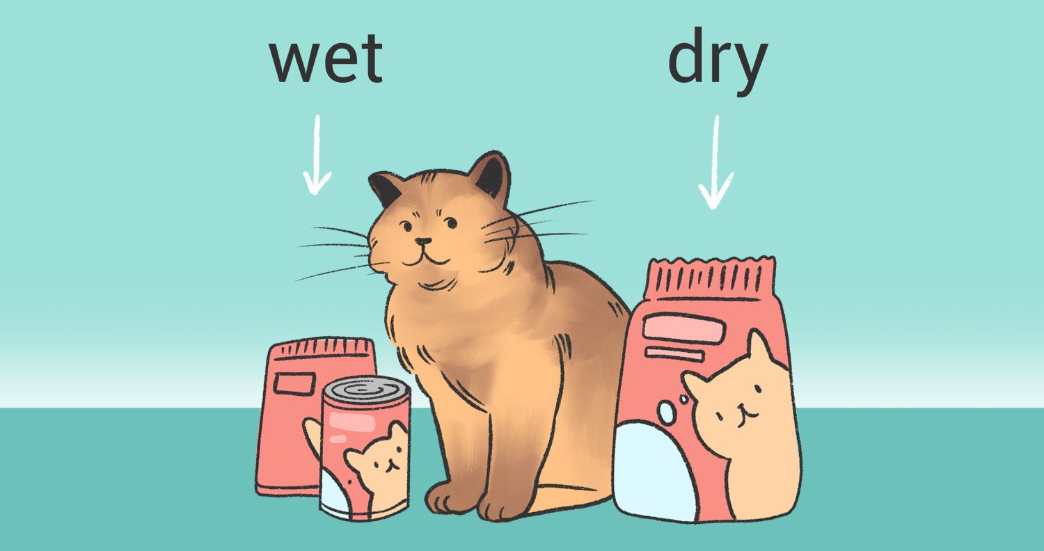 dry-or-wet-cat-food dry cat food or wet cat food