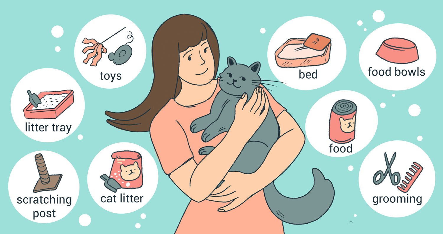 new-cat-owner-supplies suppulies for a new cat owner