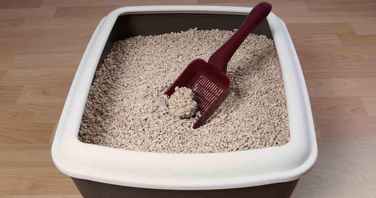cat-litter-clumping-dust-free an image of a litter tray filled up with a poop scoop in it