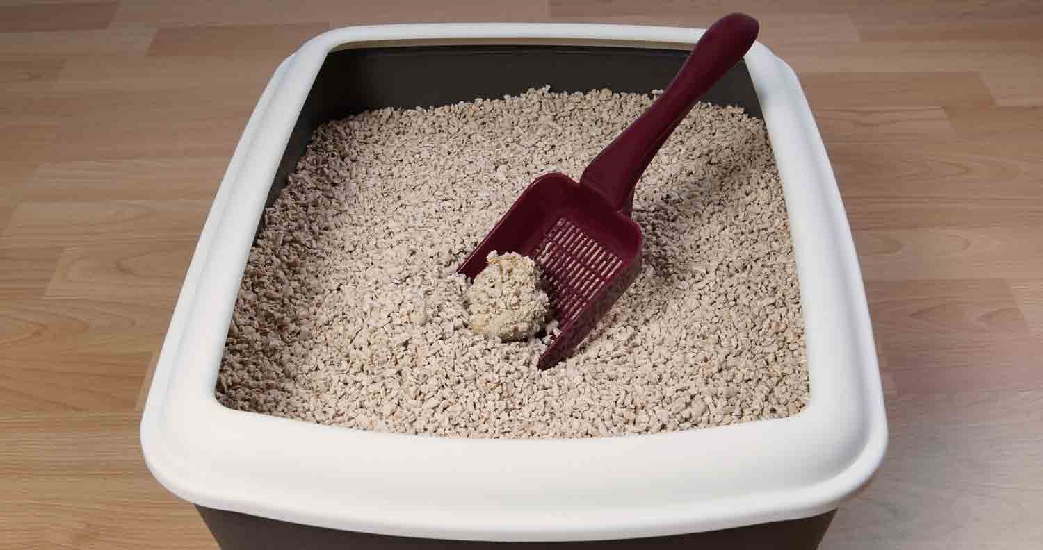 litter-box-for-large-cats fresh litter in an extra large litter box with a poop scoop in it