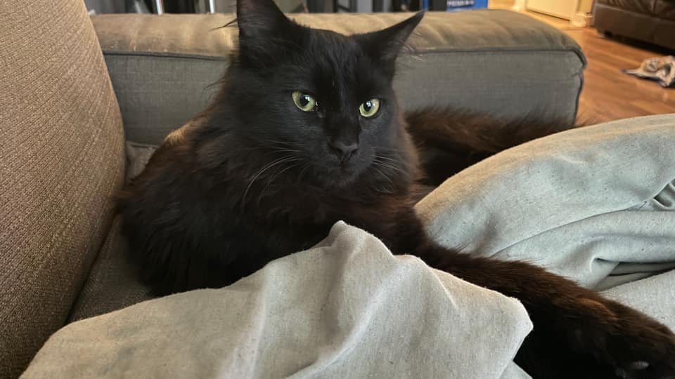 Alfie Stone 7 months old