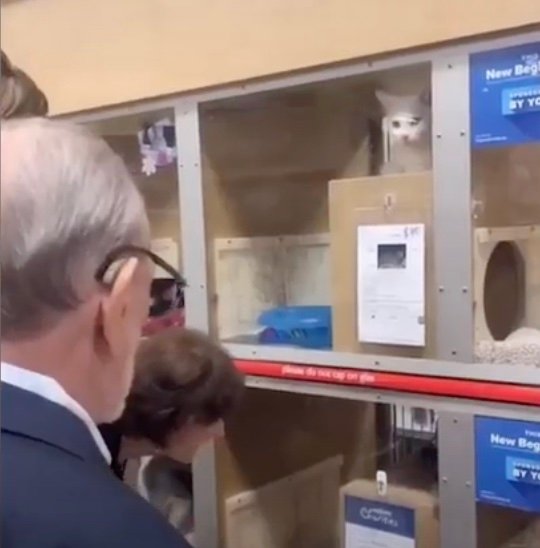 gary-1 petsmart