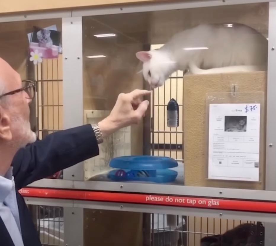 gary-2 petsmart