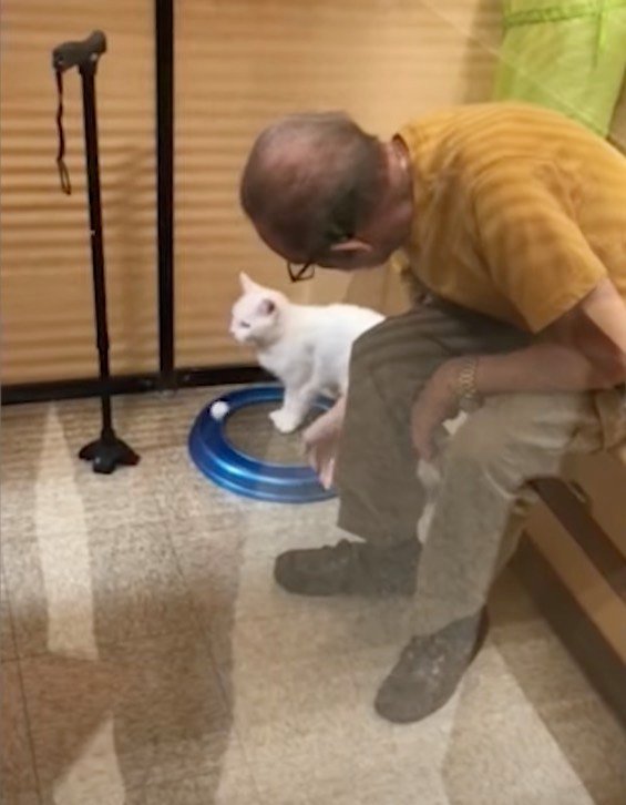 gary-5 petsmart