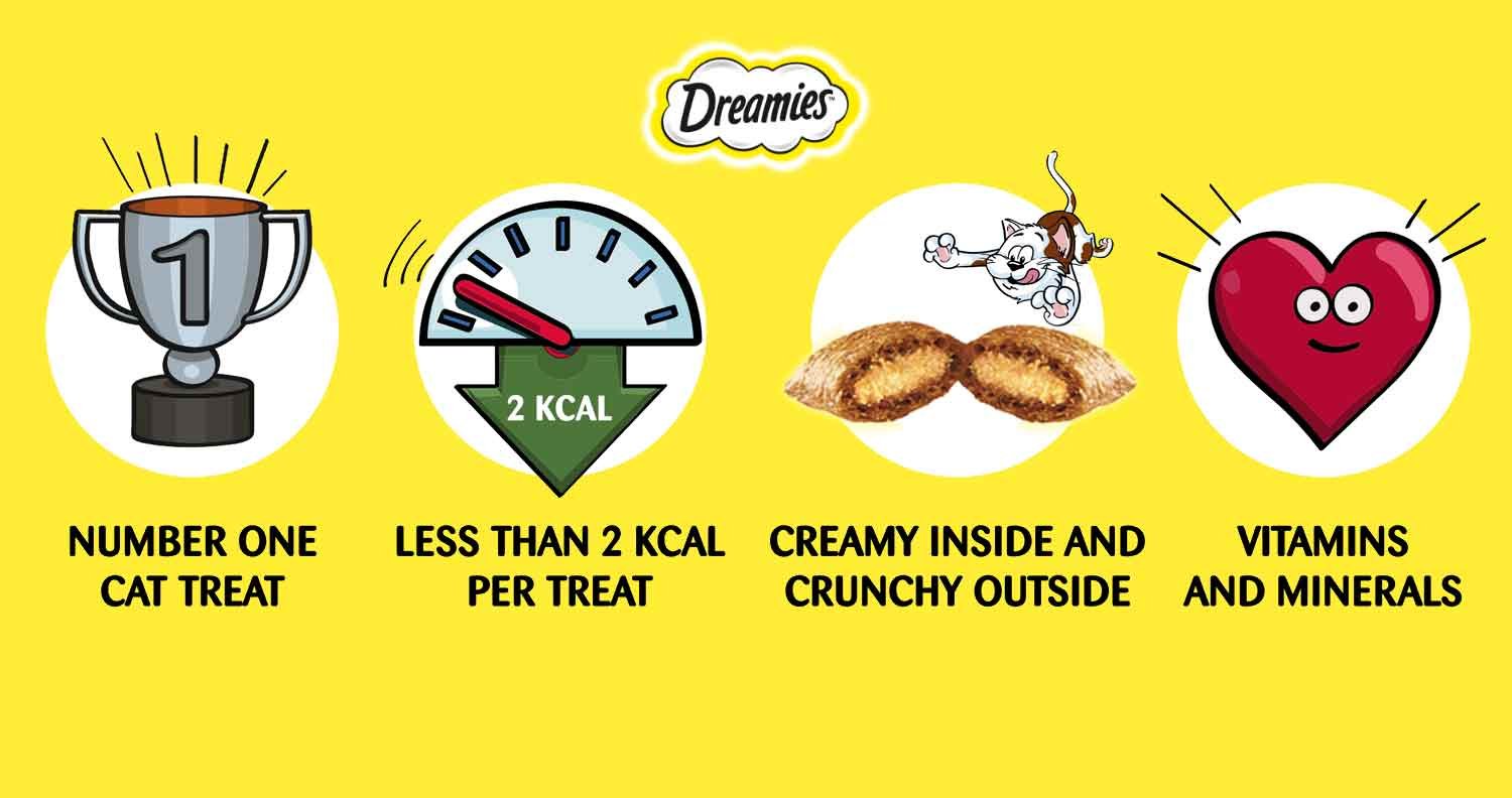 Cat Treats dreamies cat treats dreamies infographic