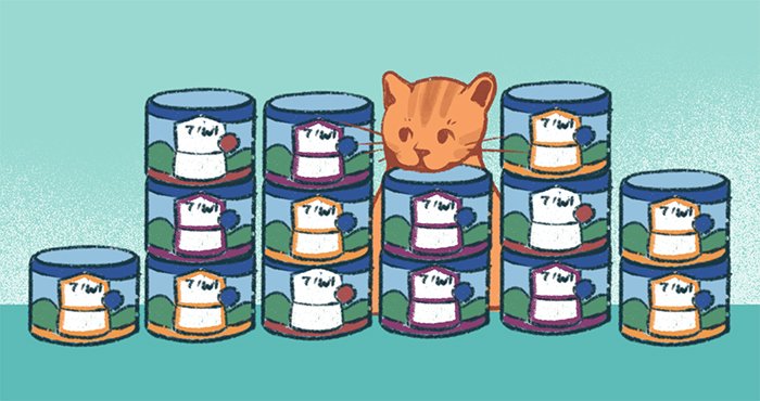 best-canned-cat-food best canned cat food