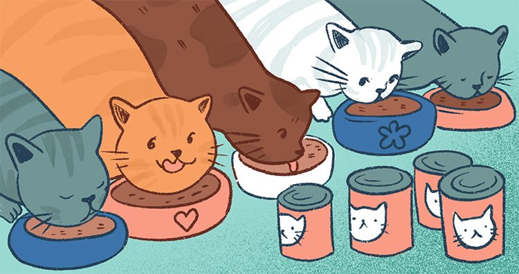 best-wet-cat-food best wet cat food