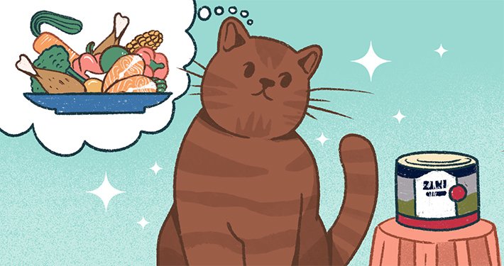 healthiest-wet-cat-food healthiest wet cat food