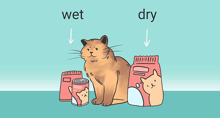 wet-vs-dry-cat-food wet vs dry cat food
