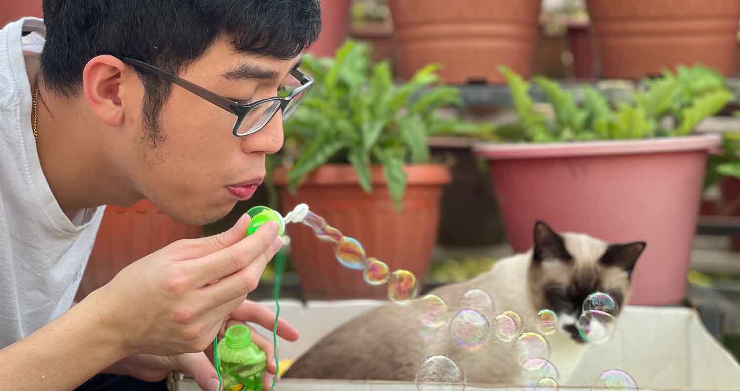 Kitty-Bubbles Kitty Bubbles