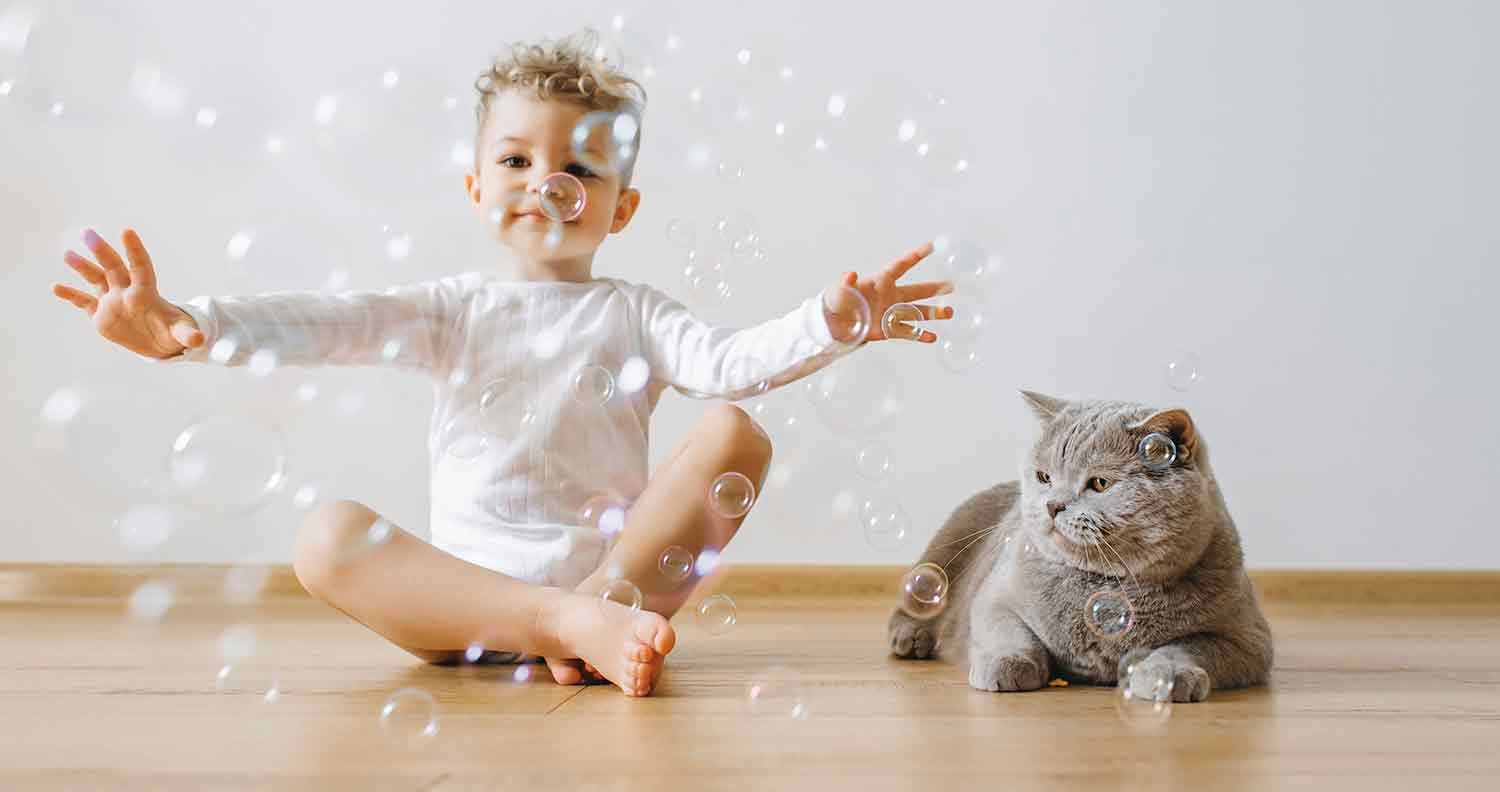 What-soap-is-safe-for-cats What soap is safe for cats