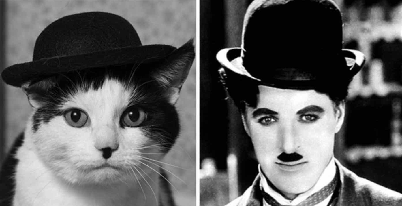 charlie chaplin charlie chaplin