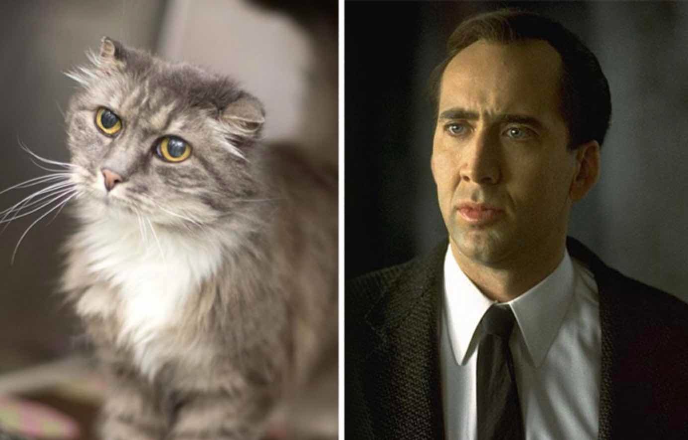 nick cage nick cage