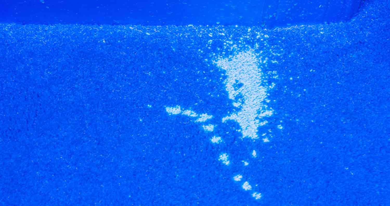 how-to-find-cat-pee-on-carpet how to find cat pee on carpet