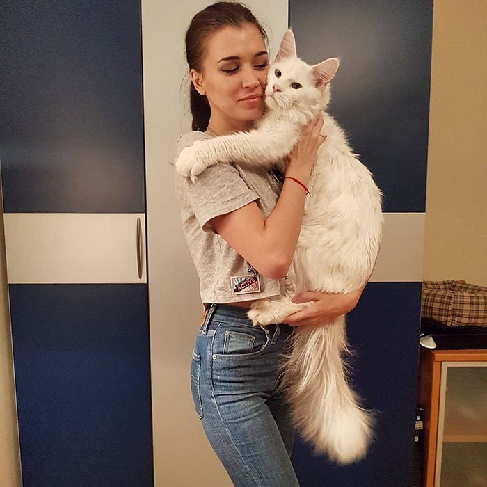 kitty cuddles kitty cuddles