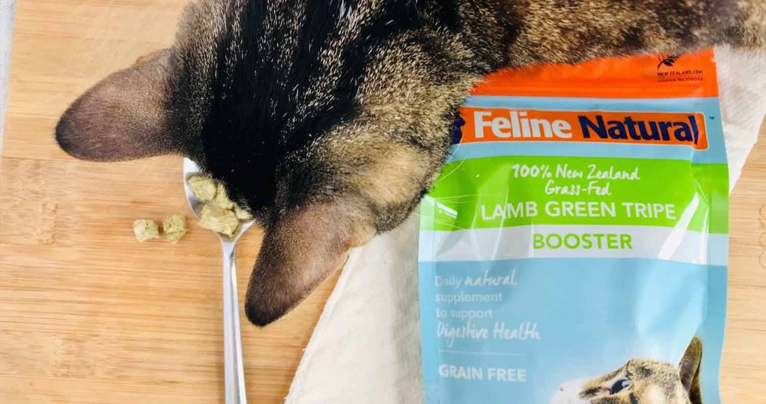 feline-natural-freeze-dried-raw-cat-food feline natural freeze dried raw cat food