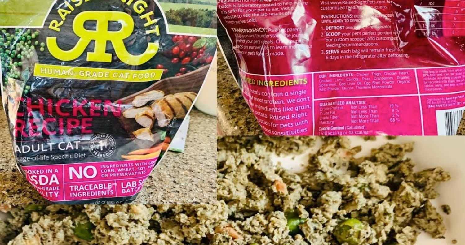 raised-right-cat-food raised right raw cat food