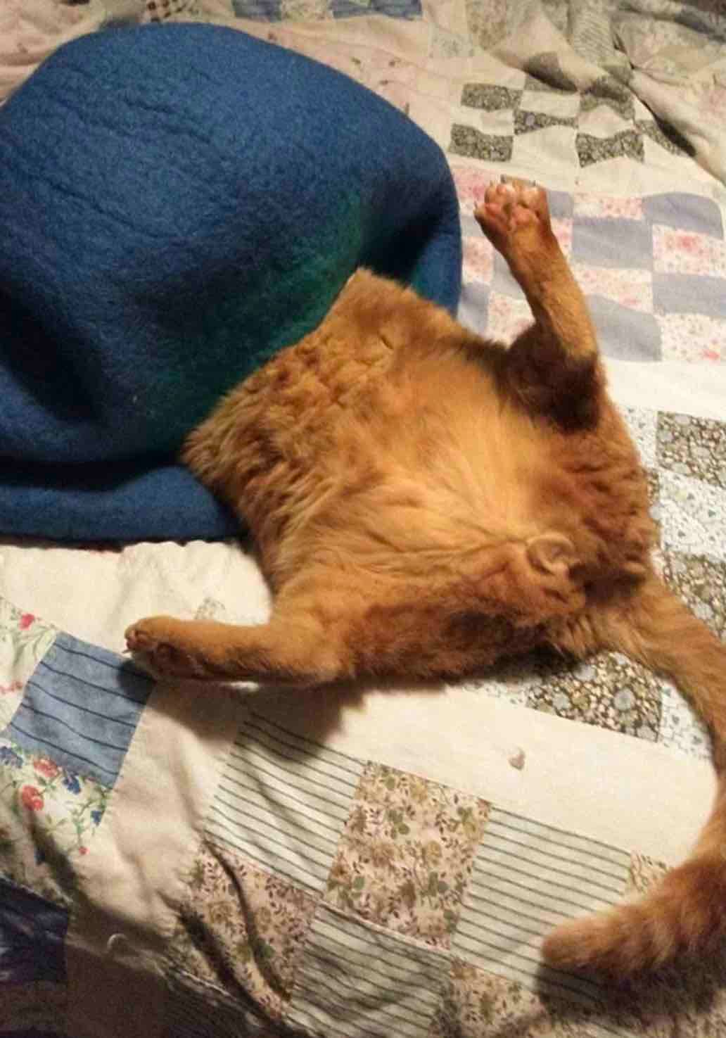 A for effort A for effort