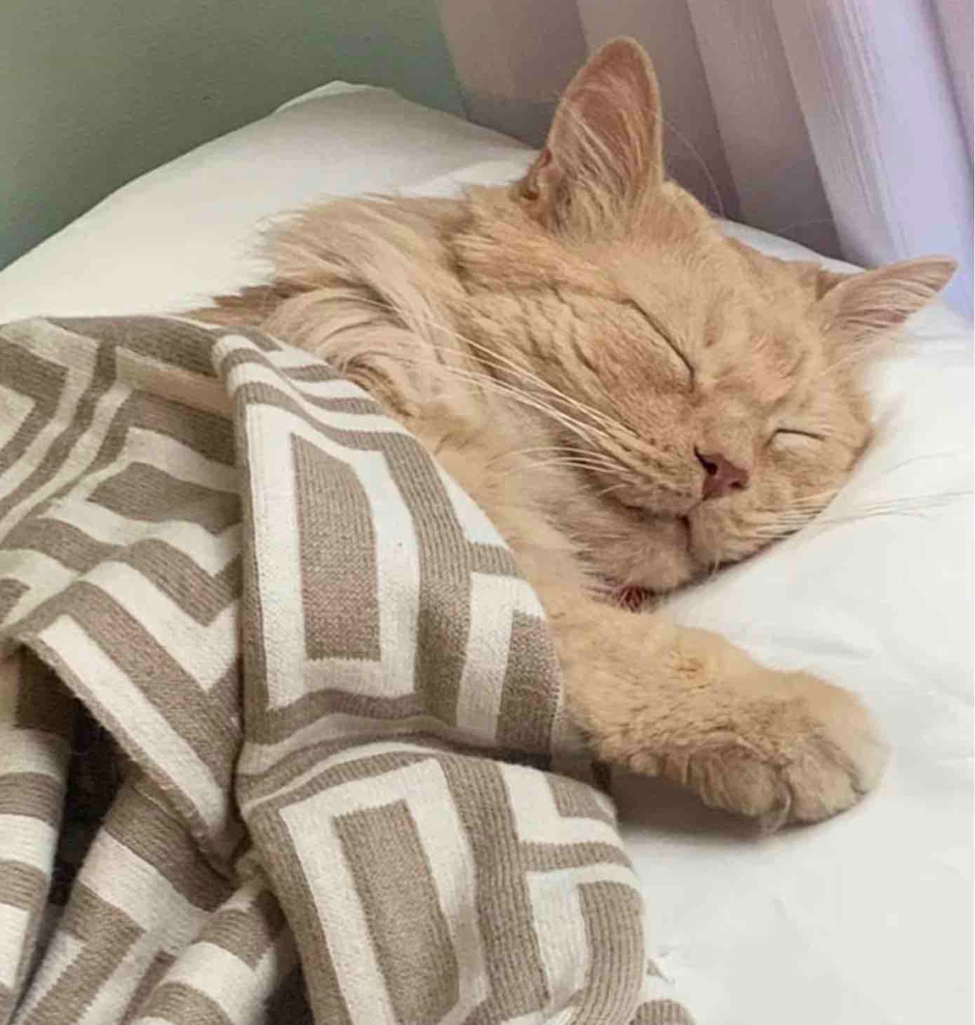 tucked in 2 tucked in 2