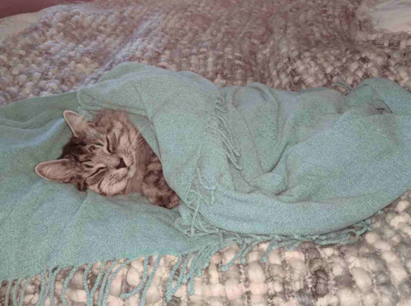 tucked in husband tucked in husband