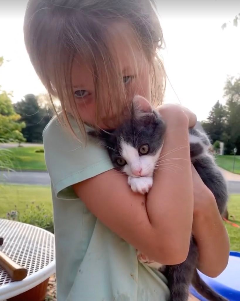 with daughter wobbly kitten