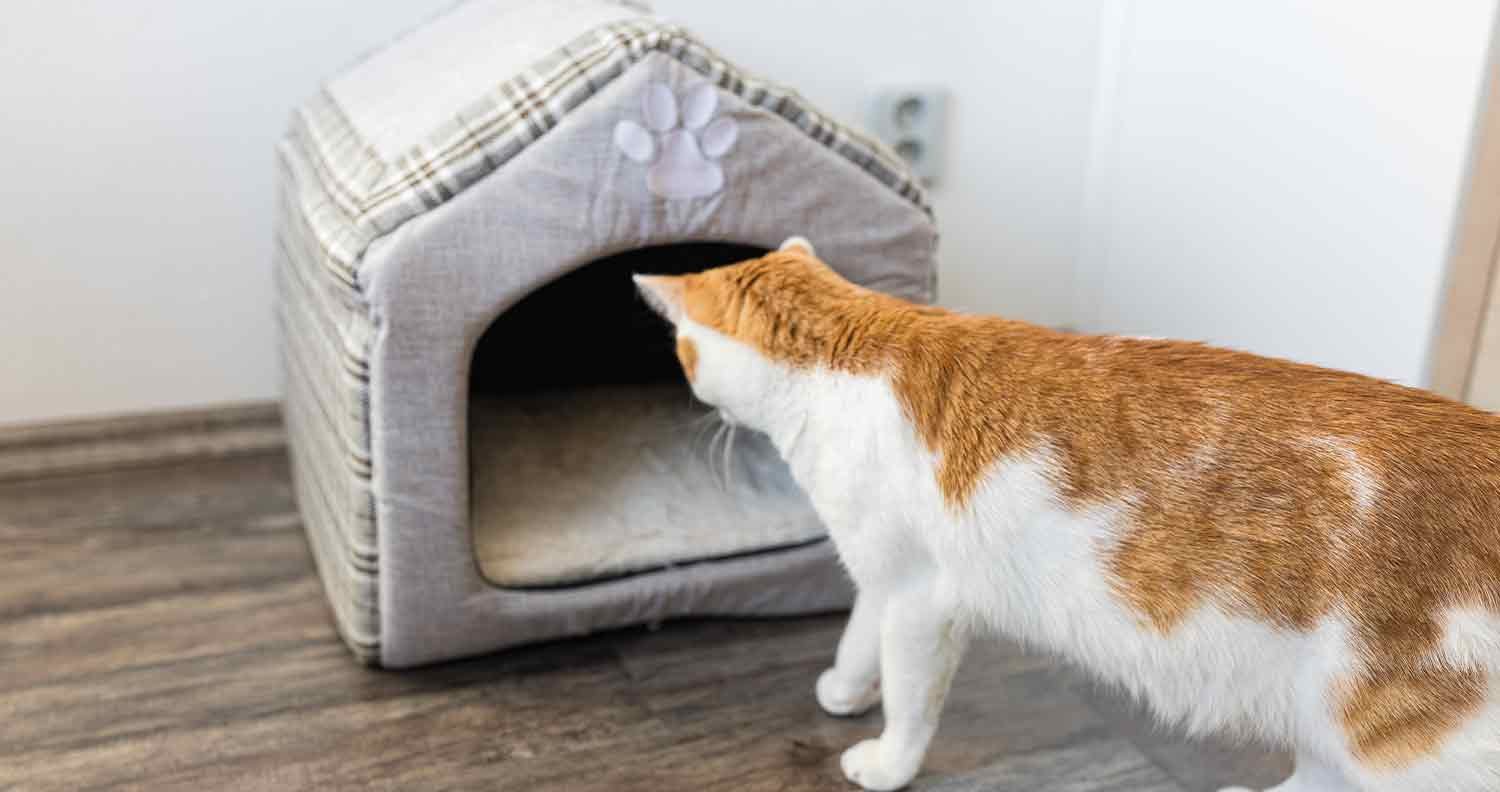 wool-cat-bed wool cat bed