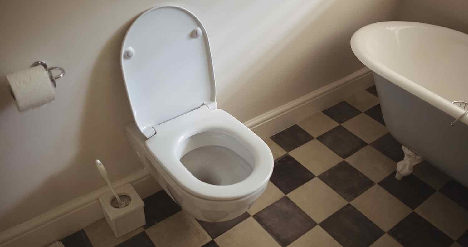 cat-litter-alternative-toilet cat litter alternative toilet