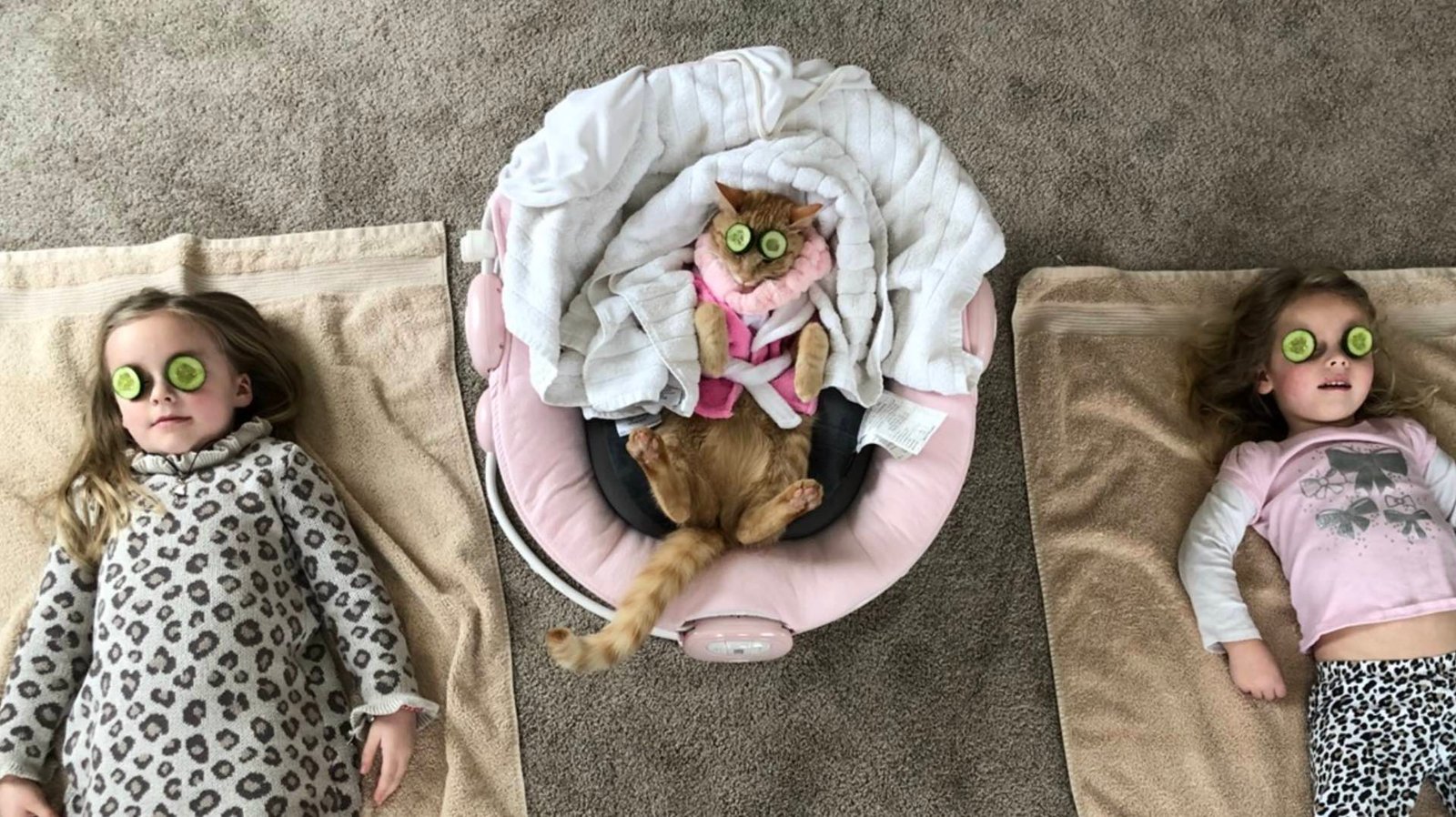cat with girls cat with girls