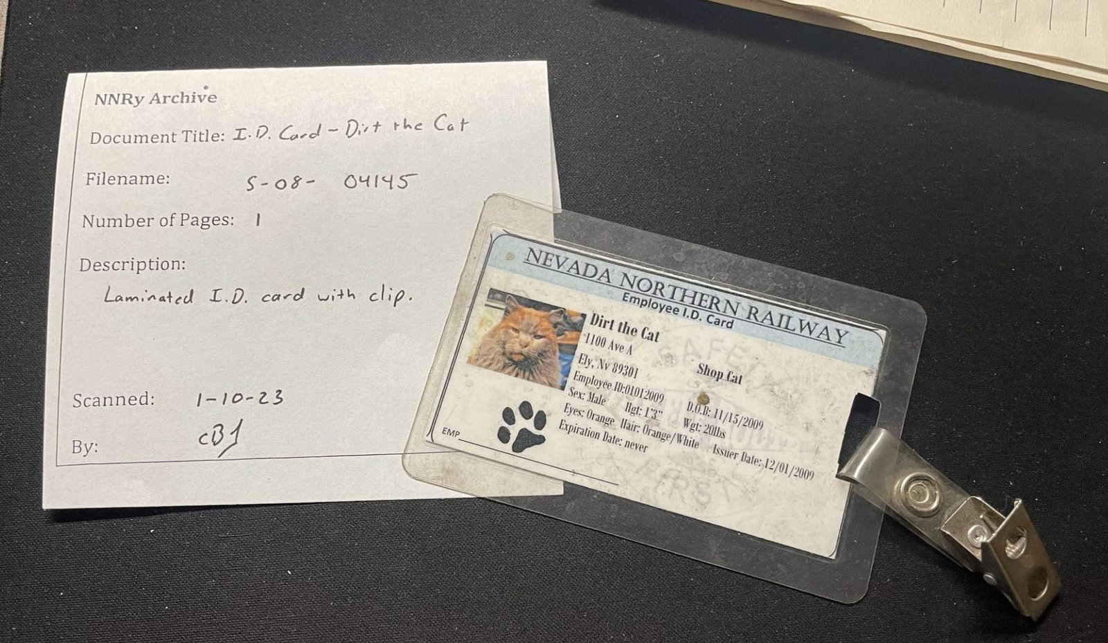 i d card i d card