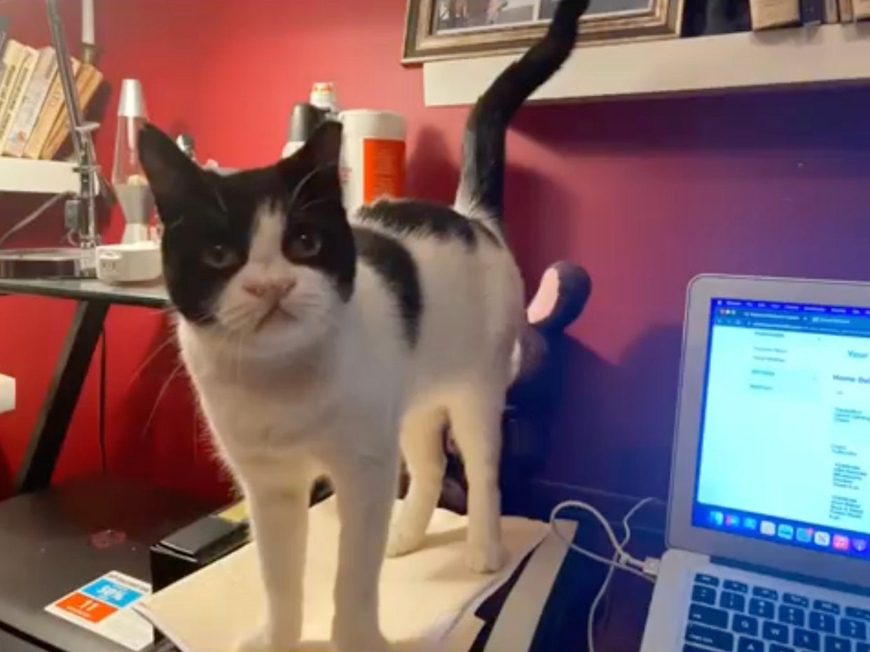 on table on table
