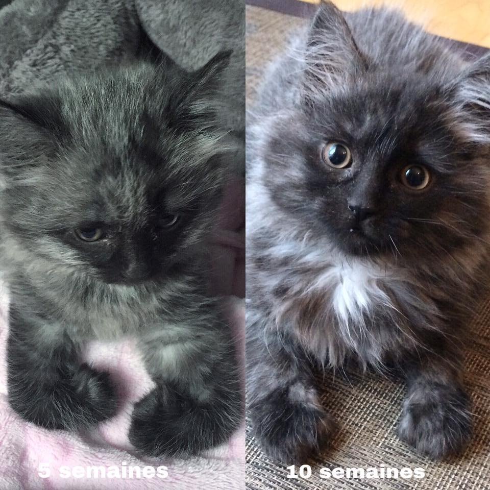 before after before after