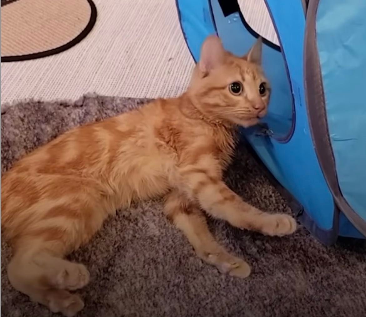 butters 10 butters 10