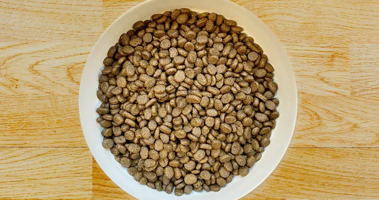 how-long-should-a-cat-eat-kitten-food how long should a cat eat kitten food