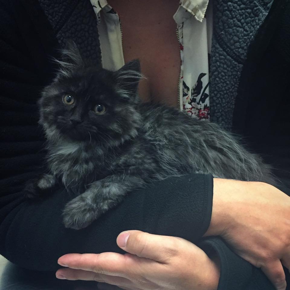 phoebie 5 months phoebie 5 months