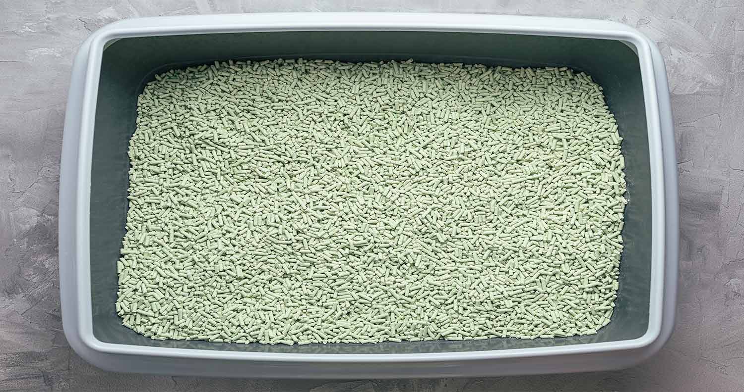 Best-Tofu-Litter Best Tofu Litter