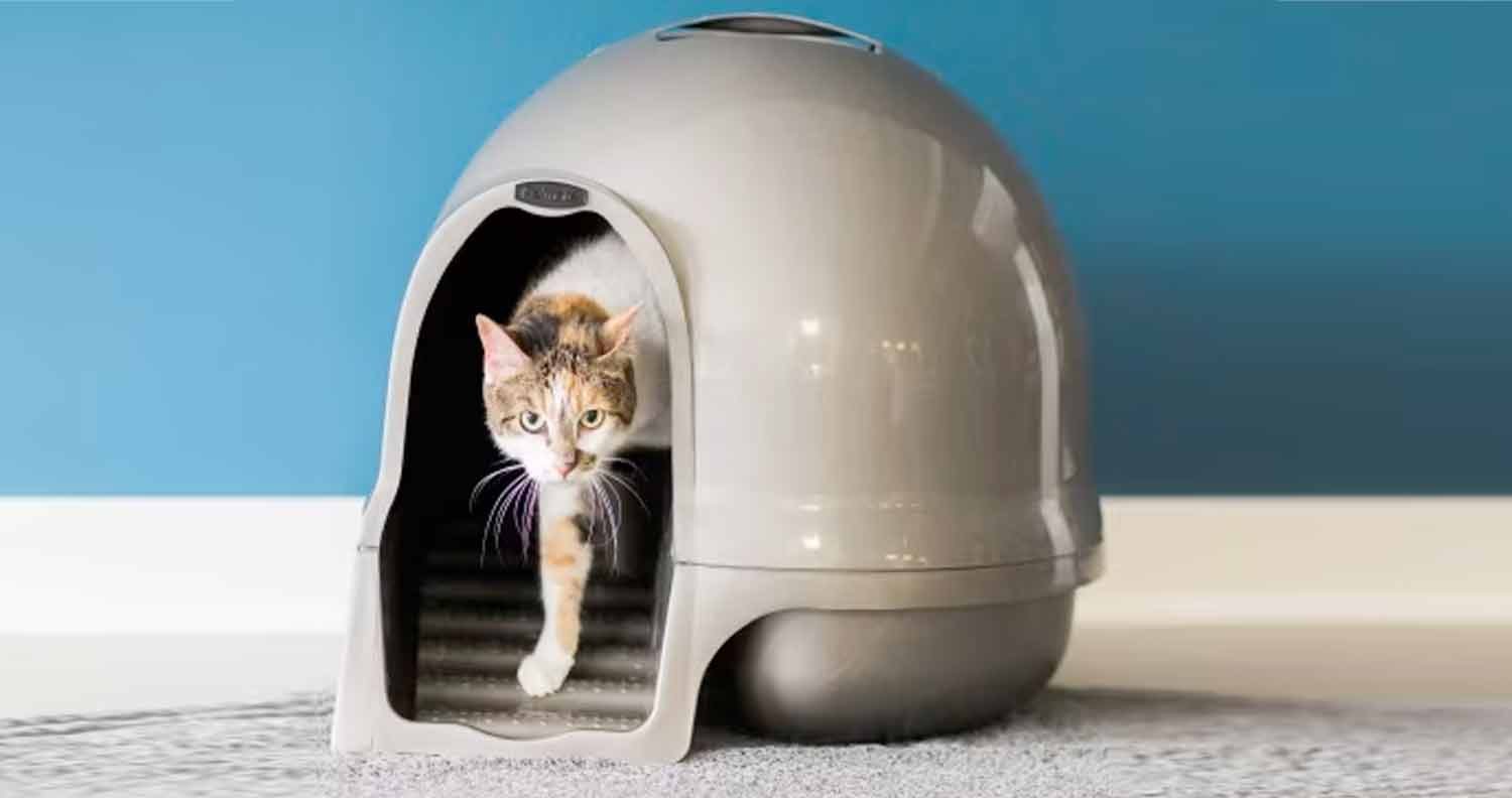 best-litter-box-for-senior-cat-owners best litter box for senior cat owners