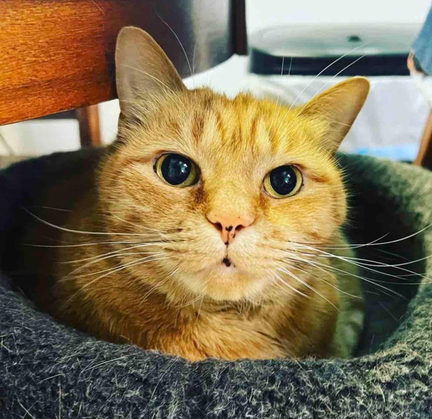 mimi close up mimi close up