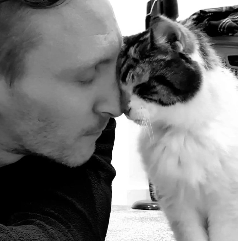 queen lily 10 queen lily 10