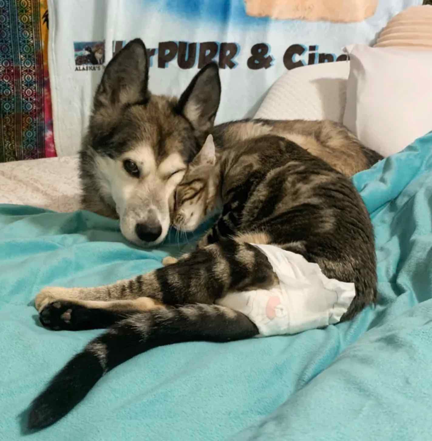 bridger 15 bridger 15