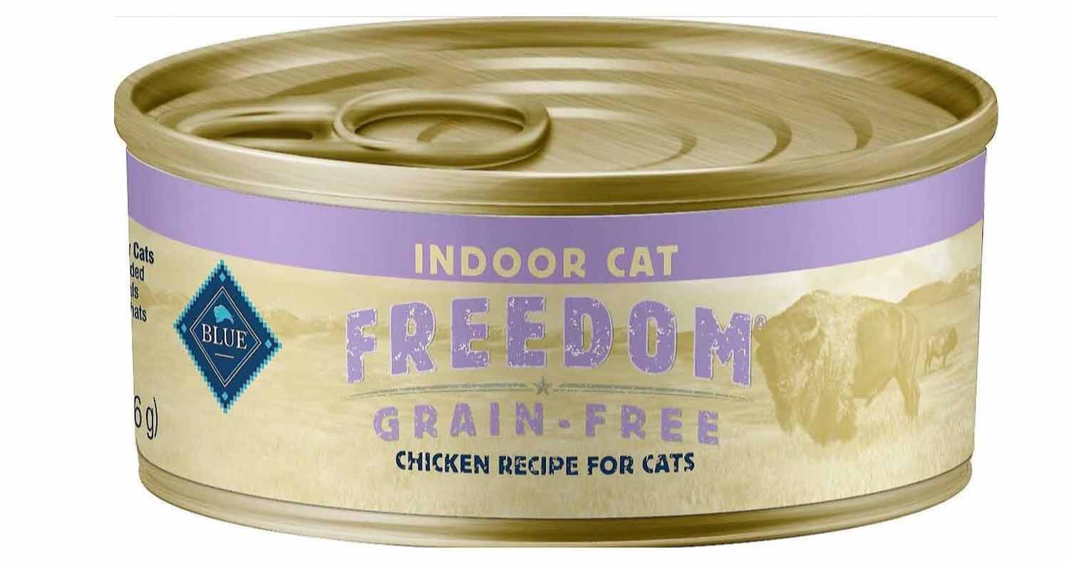 The-best-cat-food-for-indoor-Cats The best cat food for indoor Cats