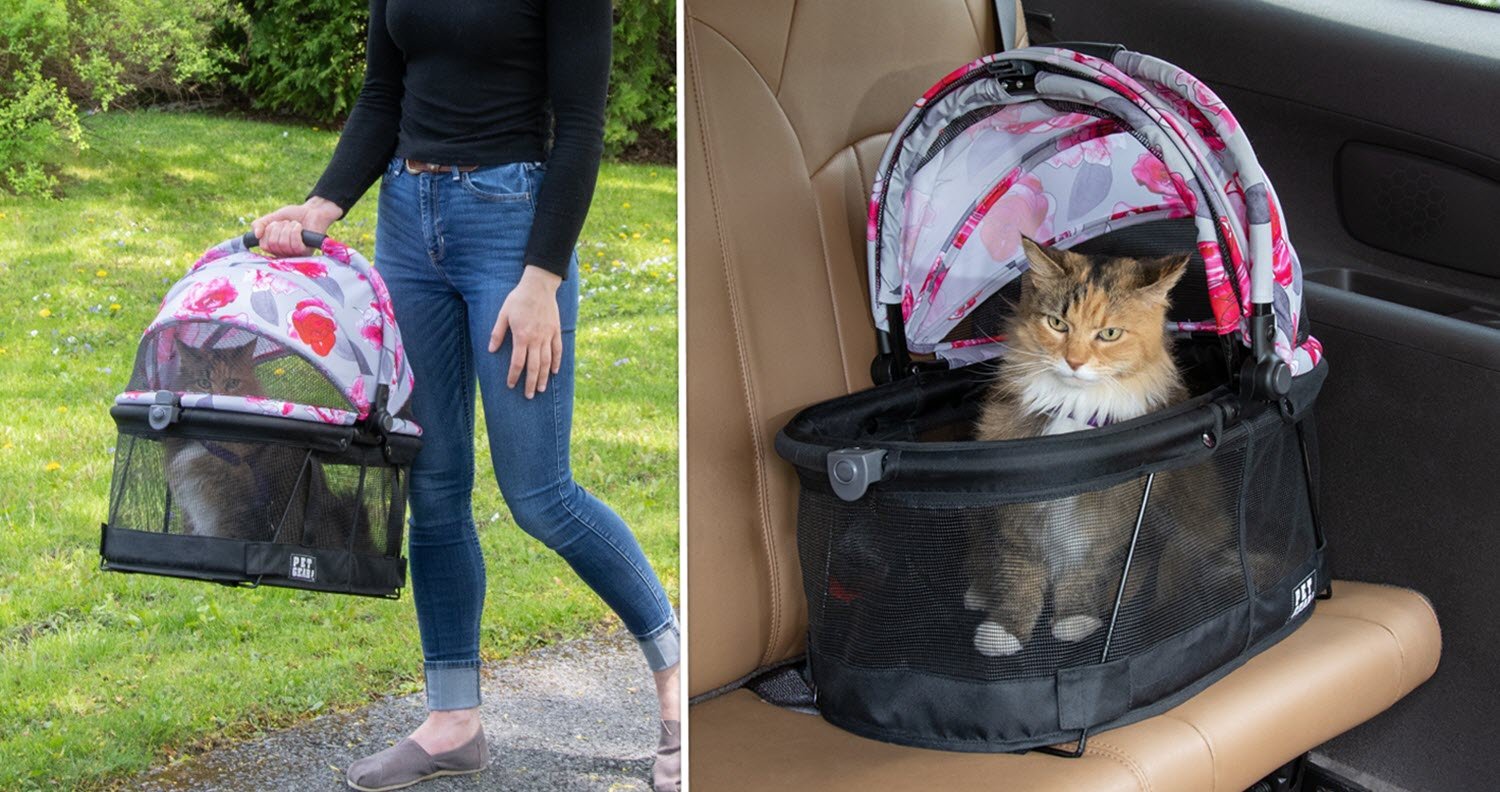 best cat stroller best cat stroller as carrier and car seat